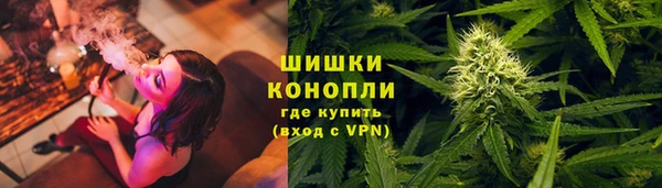 ГАЛЛЮЦИНОГЕННЫЕ ГРИБЫ Куйбышев