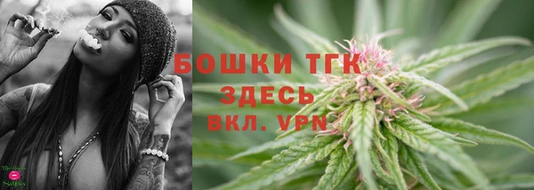 твердый Ладушкин
