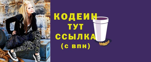 твердый Ладушкин
