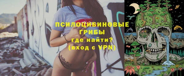 apvp Печоры