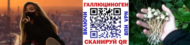нарко площадка наркотические препараты Удачный Галлюциногенные грибы Psilocybine cubensis